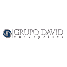 Grupo David